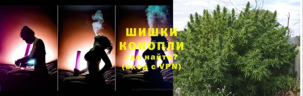 ешки Арсеньев