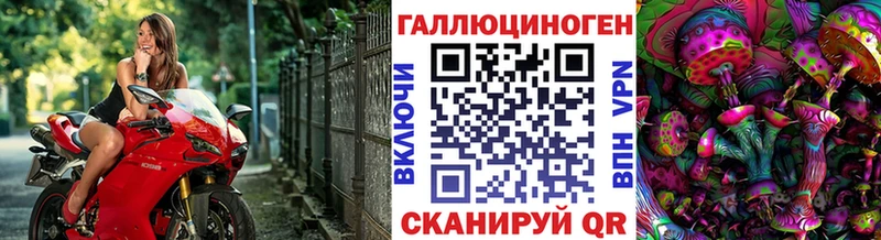 Псилоцибиновые грибы Psilocybe  Почеп 